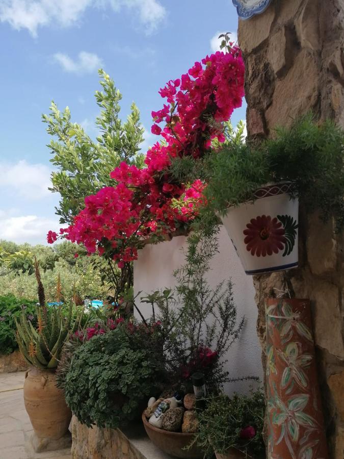 Alojamiento Rural Masia Valldeperez L'Ampolla Dış mekan fotoğraf