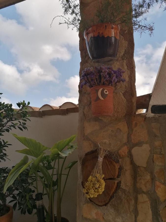Alojamiento Rural Masia Valldeperez L'Ampolla Dış mekan fotoğraf