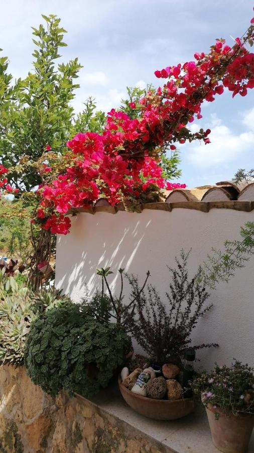 Alojamiento Rural Masia Valldeperez L'Ampolla Dış mekan fotoğraf